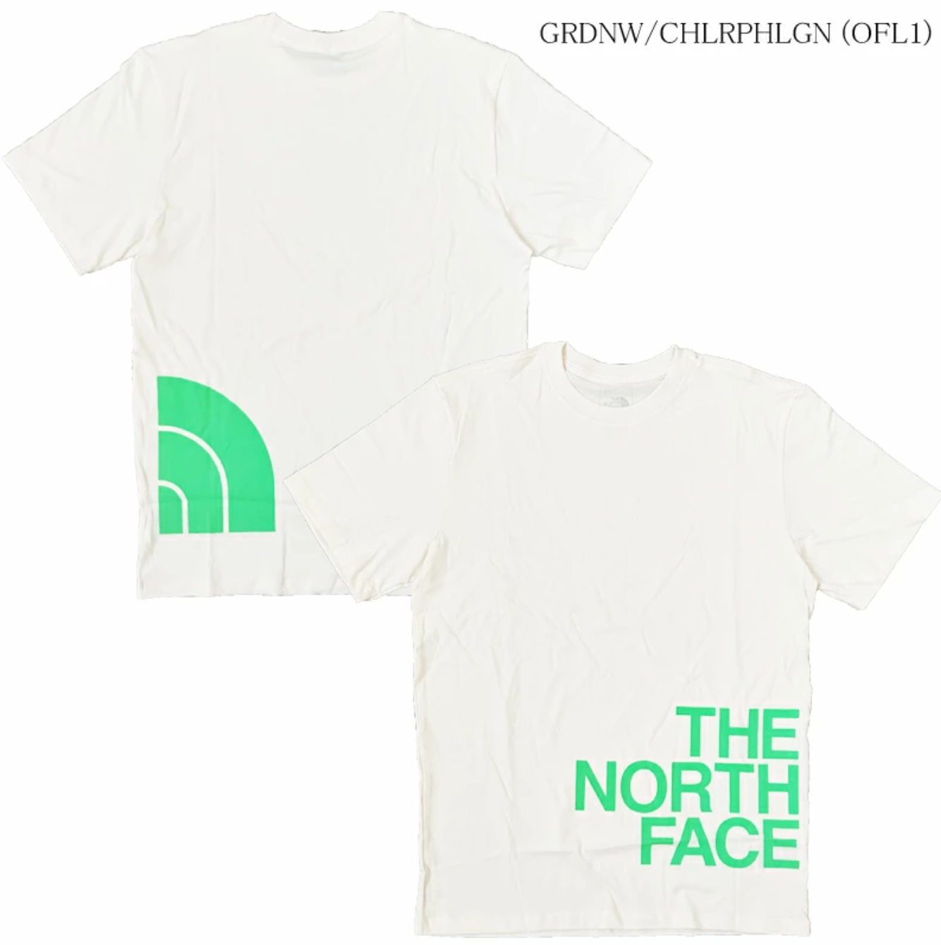 The North Face Men's Brand Proud Tee Chlorophyll Green - Size L