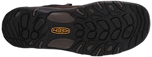 KEEN Men's Steens Vent Hiking Shoe, Brown, 10