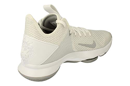 Nike Lebron Witness IV TB Men Basketball CV4004 -100 White Wolf Grey