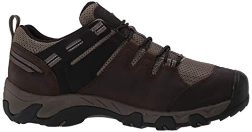 KEEN Men's Steens Vent Hiking Shoe, Brown, 10