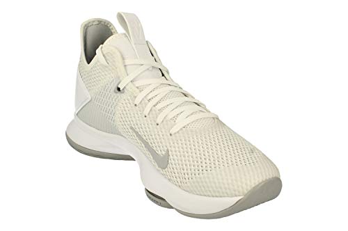 Nike Lebron Witness IV TB Men Basketball CV4004 -100 White Wolf Grey