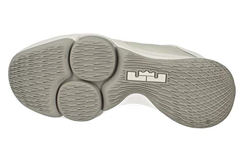 Nike Lebron Witness IV TB Men Basketball CV4004 -100 White Wolf Grey