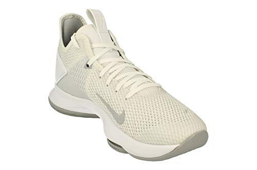 Nike Lebron Witness IV TB Men Basketball CV4004 -100 White Wolf Grey - Nike