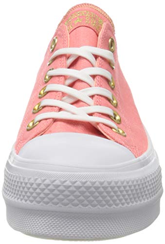 Converse CTAS Lift OX 560675C - Pink/Driftwood/White - Adidas