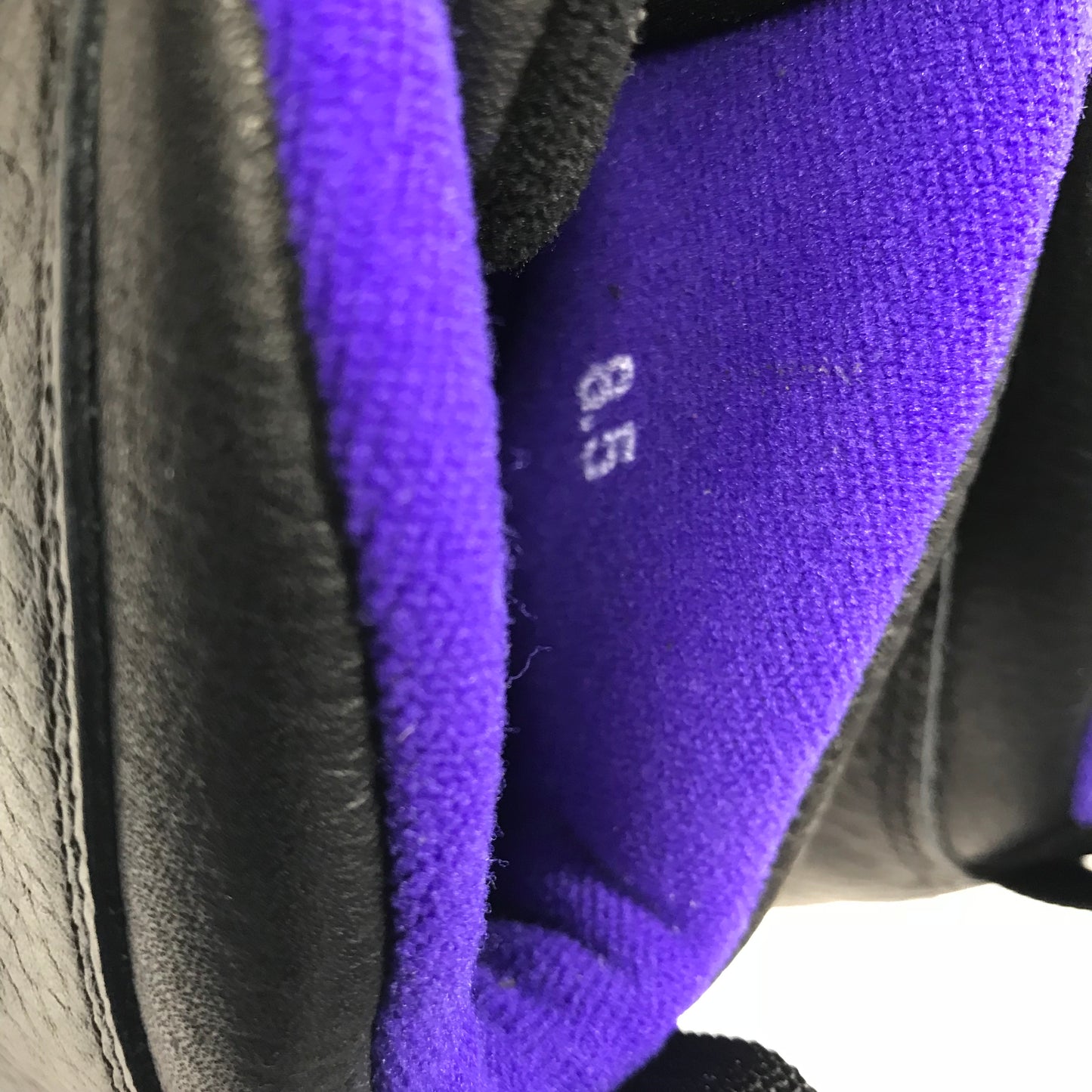 DS OG Nike Air Jordan 10 X City Pack Sacramento Kings Taille 8.5