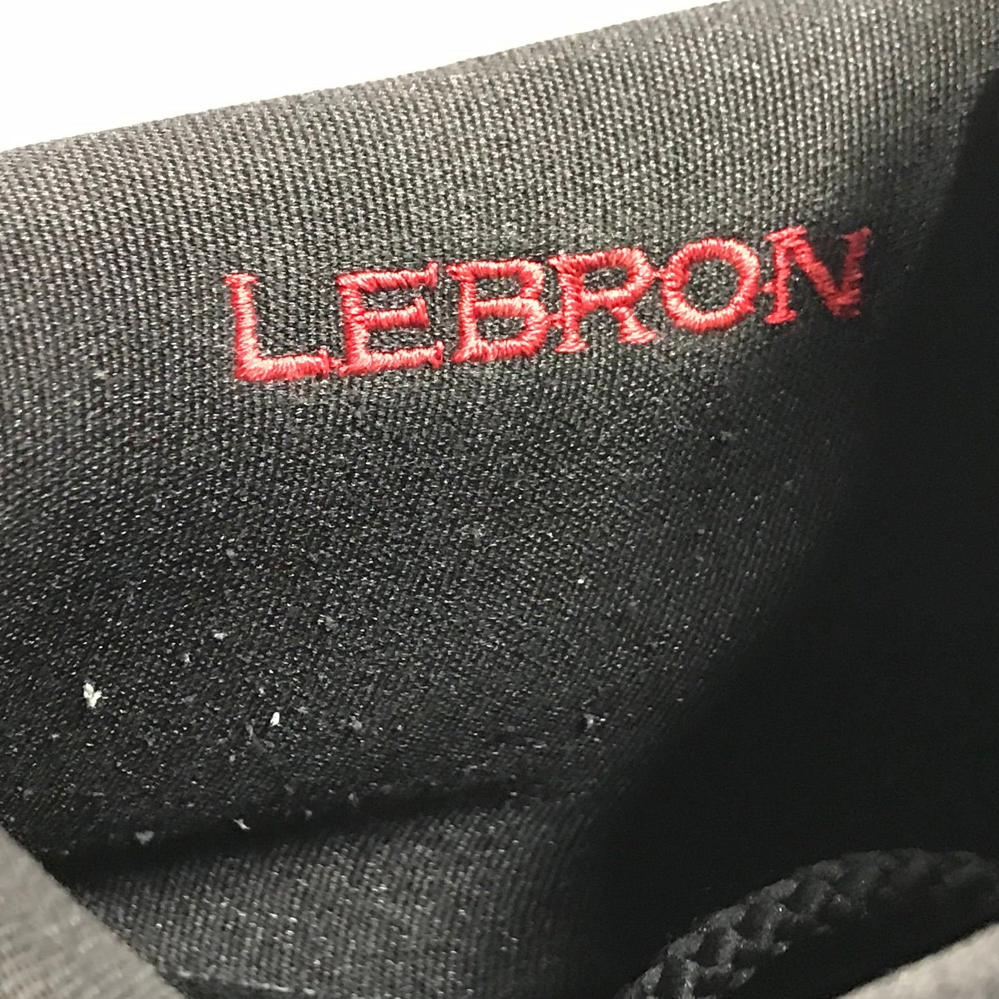 Nike Zoom Lebron 2 II Low PE Sample Size 16 - Nike